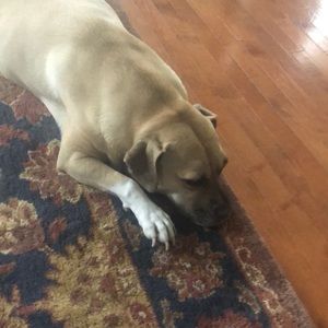 Meet your Posher, Chris